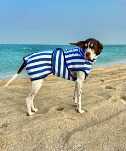 Dog Drying Robe