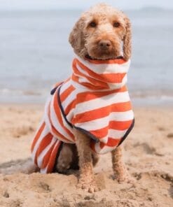 Dog Robe