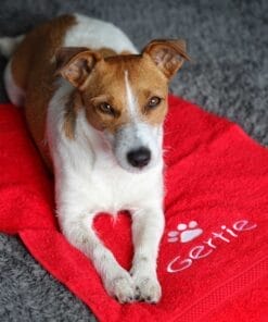 Personalised Small Paw Towel