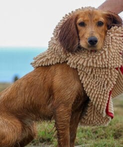Super Shammy Drying Towel for Dogs