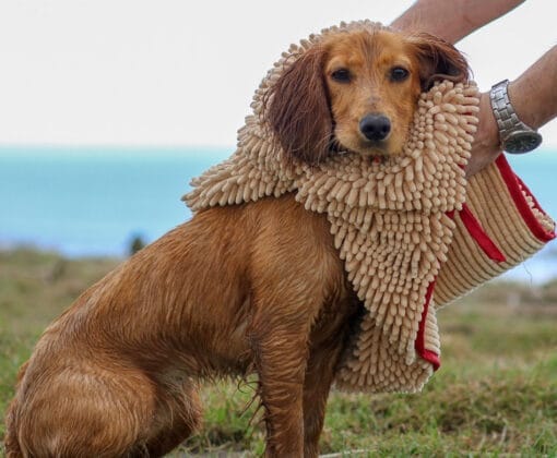 Super Shammy Drying Towel for Dogs